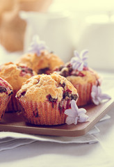 Homemade black berry muffins  for mother's day breakfast