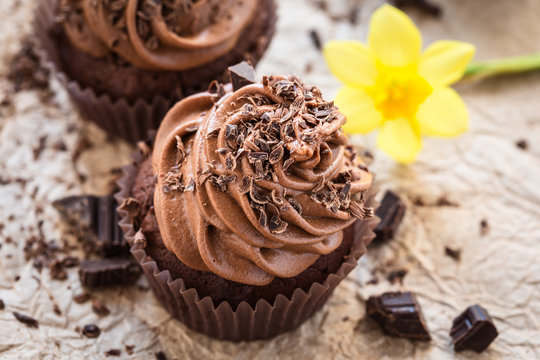 Delicious Mothers Day  Chocolate Cupcakes  With Spring Flowers