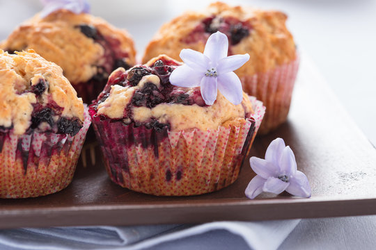 Homemade black berry muffins  for mother's day breakfast