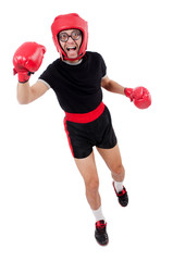 Funny boxer isolated on the white