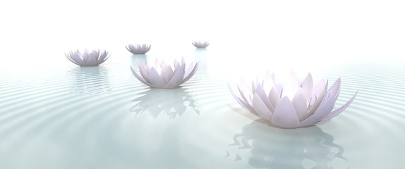 Zen Flowers on water in widescreen