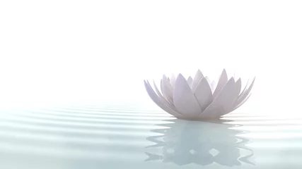 Foto op Canvas Zen lotus op water © dampoint