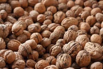 Whole wallnuts background