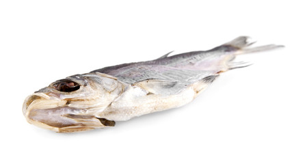dried fish