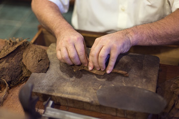 Handmade cigar live preparation