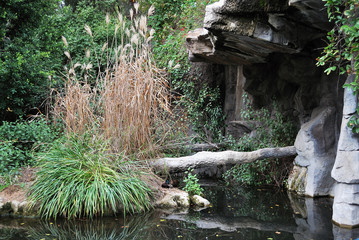 Obraz premium The water pond in LA Zoo, California
