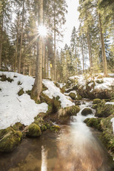 brook in black forest, Germany