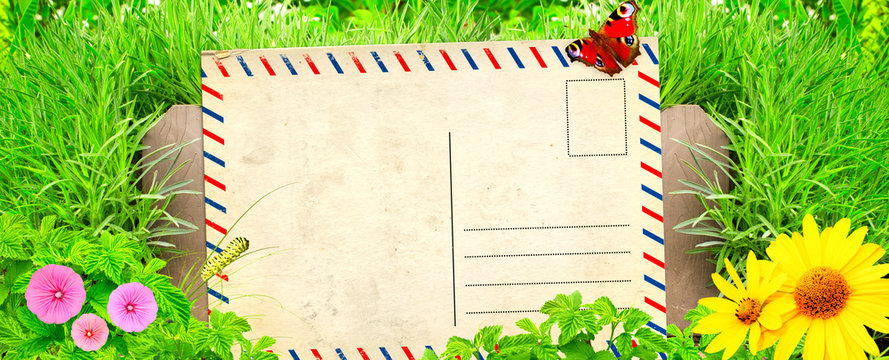 Summer background with old post card and green grass