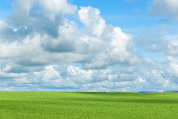 Fototapeta na wymiar Prato verde e cielo nuvoloso