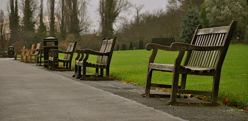 Bench