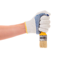 Hand in gloves holds brush.