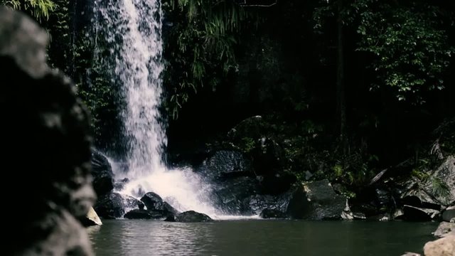 Curtis Falls waterfall in Mount Tambourine. Waterfall in the gol