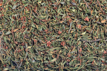 Background of dried herb