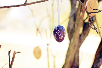 easter eggs outdoor hanging on a bush - greeting card
