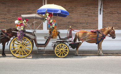 Traditional horse and carriaget