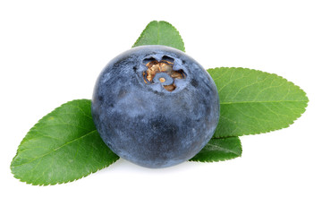 Fresh Blueberry