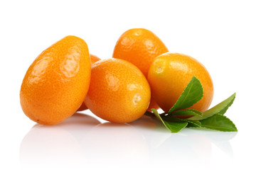 Kumquat