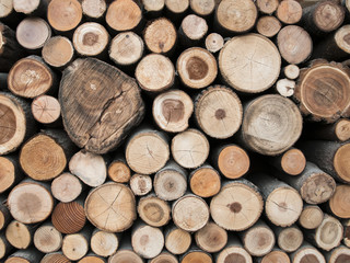 Wood logs