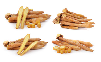 Fingerroot, Kaempfer, Boesenbergia on white background