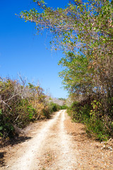 沖縄県　鳩間島の道