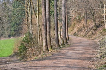 Waldweg
