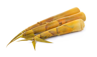 Bamboo shoot on white background