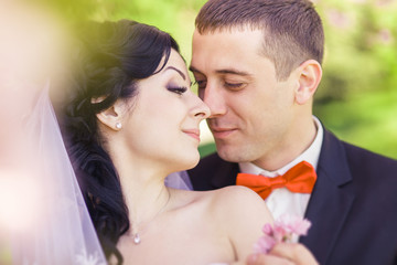 Fototapeta premium the bride and groom on the background of flowering trees
