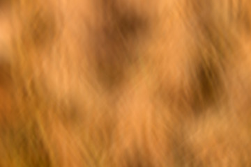 yellow color tone illustration for abstract background