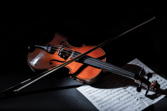 Violin