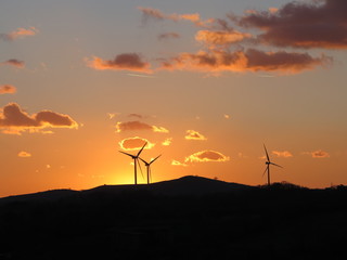 Parco eolico al tramonto
