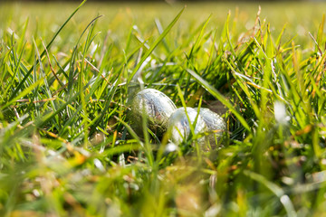 Easter eggs in grass, sunny weather