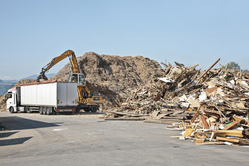wood recycling  - 80022515