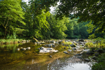 Fluss Murg, Forbach