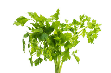 parsley