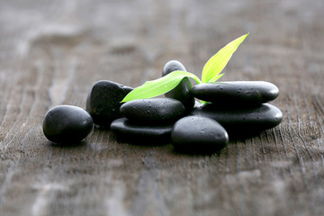 Stack of black sea pebbles with green leaves