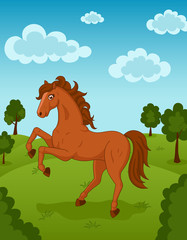Horse on meadow
