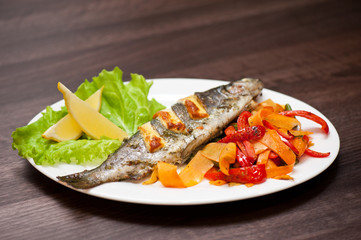 rainbow trout fish