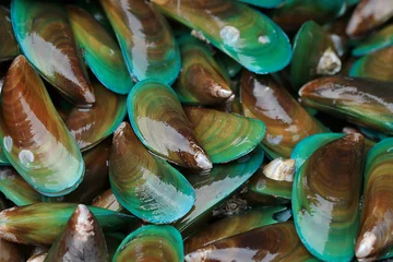 Rolgordijnen Asian green mussel © praisaeng