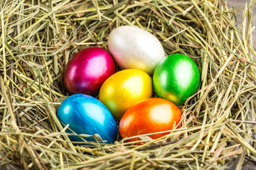 Easter eggs in the nest