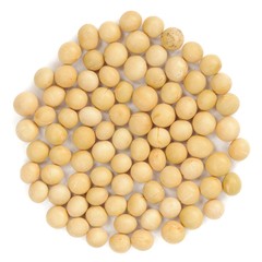 Raw wholegrain soybean in round shape, isolated