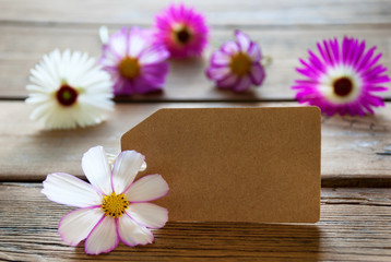 Empty Label With Copy Space With Cosmea Blossoms