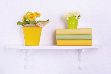 Flower on shelves on white wall background