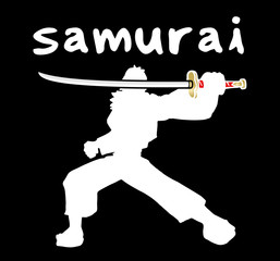 Shadow samurai