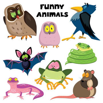 Set of funny cartoon animals