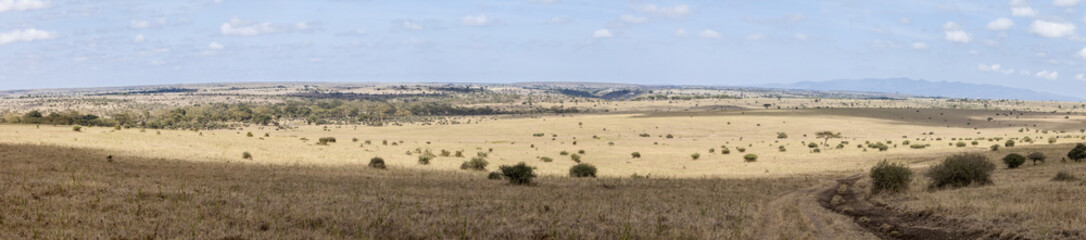 Fototapeta na wymiar 180 degreee panorama of the grasslands of Kenya