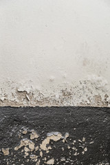 wall damaged by mildew