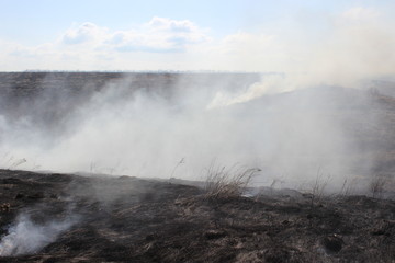 Выгоревшая степь