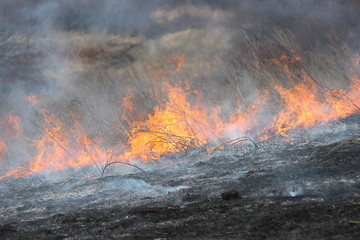 Fire goes on the steppe