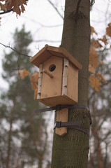 Birdhouse