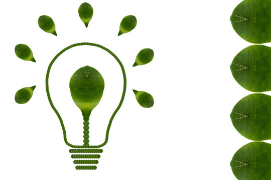 Idea light bulb from leaf.( ECO  concept)